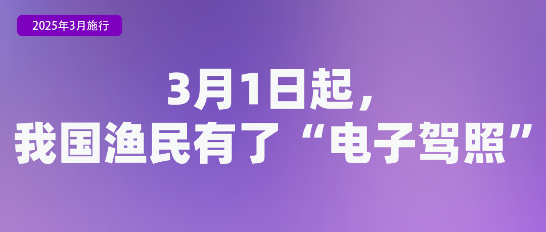 图12.png