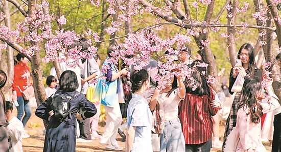 图1.jpg