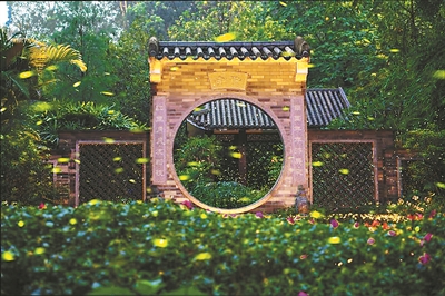 图.jpg