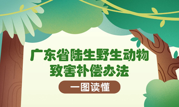 一图读懂广东省陆生野生动物致害补偿办法