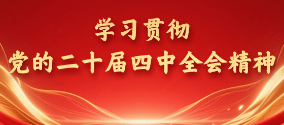 学习贯彻党的二十届四中全会精神